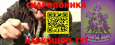 ешки Кимры