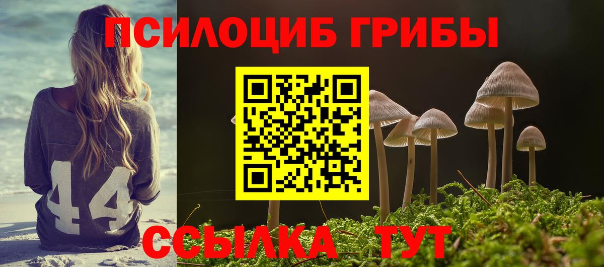 Бошки Шишки  Бошки Шишки  Куйбышев  COCAIN  Вход с VPN  Гашиш  КЕТАМИН  ГАШИШ  Мефедрон кристаллы  Кокаин  Амфетамин кристаллы  МДМА 