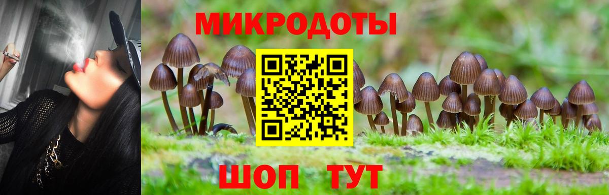 Галлюциногенные грибы Cubensis  Вход с VPN  Галлюциногенные грибы Psilocybe  наркошоп  Куйбышев 